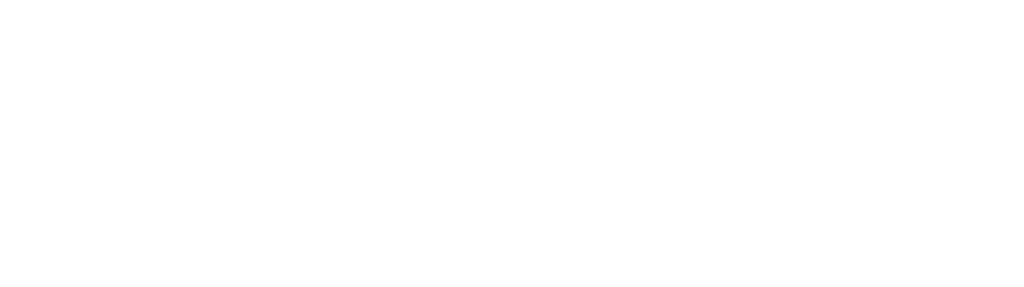 magnifez-technologies-inc-logo-dynamics-365-sevices-company-US-India